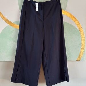 Ann Taylor Navy Blue Wide Leg Pants